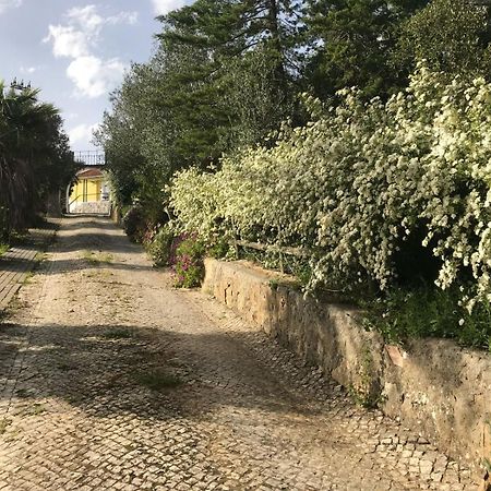 Quinta Dos Canais 세투발 외부 사진