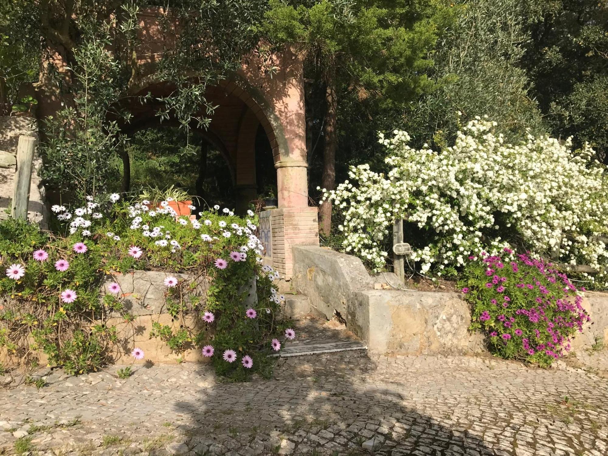 Quinta Dos Canais 세투발 외부 사진