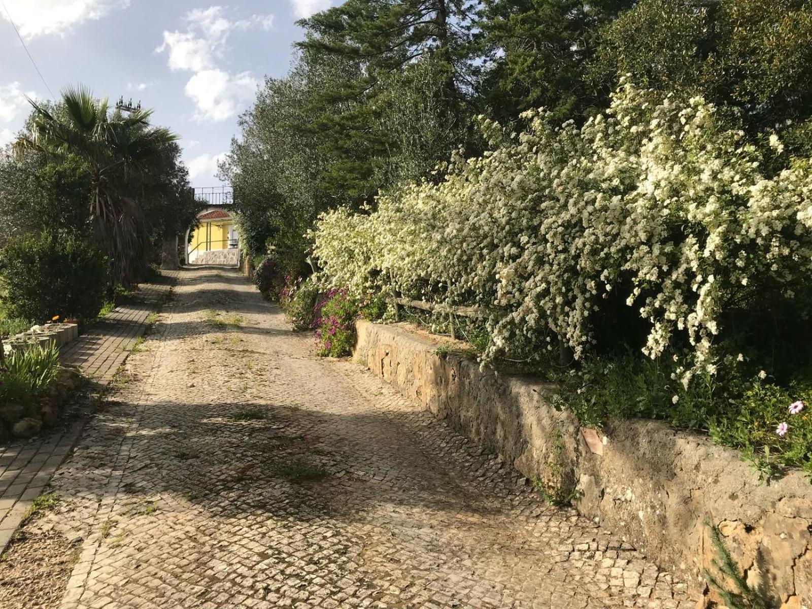 Quinta Dos Canais 세투발 외부 사진
